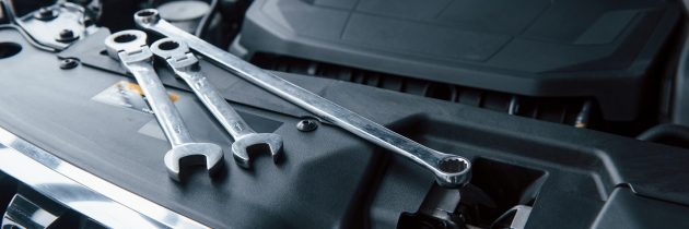 Segmentarea motorului: Costuri si Avantaje